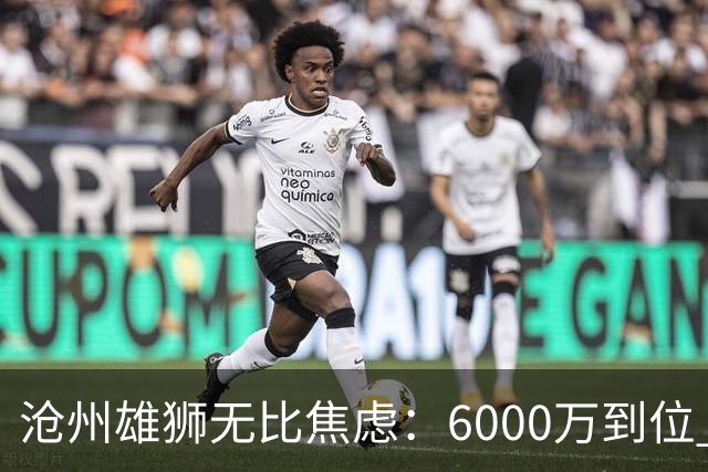 沧州雄狮无比焦虑：6000万到位 准入陷入僵局？
