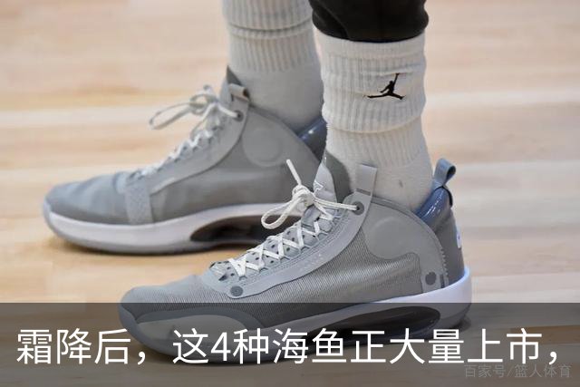 霜降后，这4种海鱼正大量上市，价格全年最低，大爷大妈抢着要